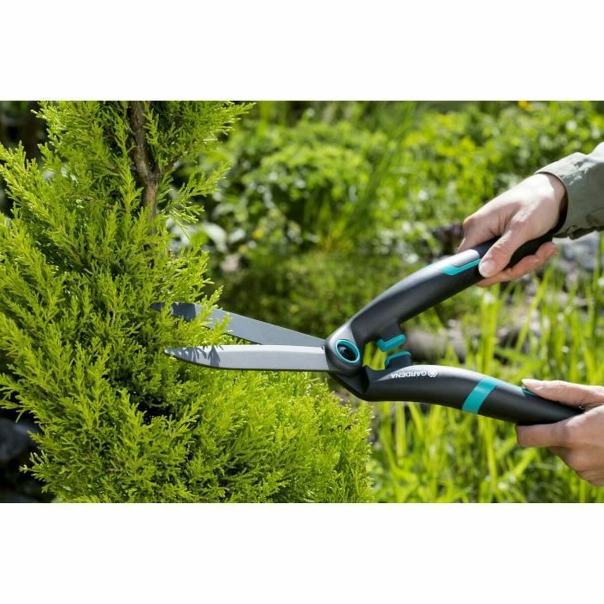 Kaksikätiset oksasakset Gardena Boxwood